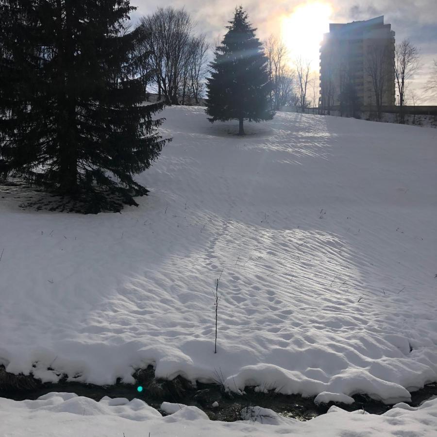 Lejlighed Pano Hohegeiss App 363 Mit Wlan *